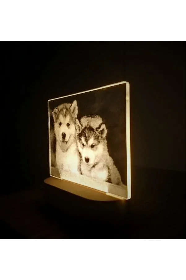 3D Acrylic Night Light Table Lamp with Wooden Base, Best Gift for Birthday, Anniversary, and Home Decor (Husky)