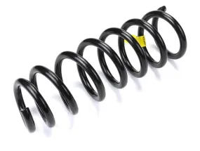 BMW Coil Spring – Front 31336773051