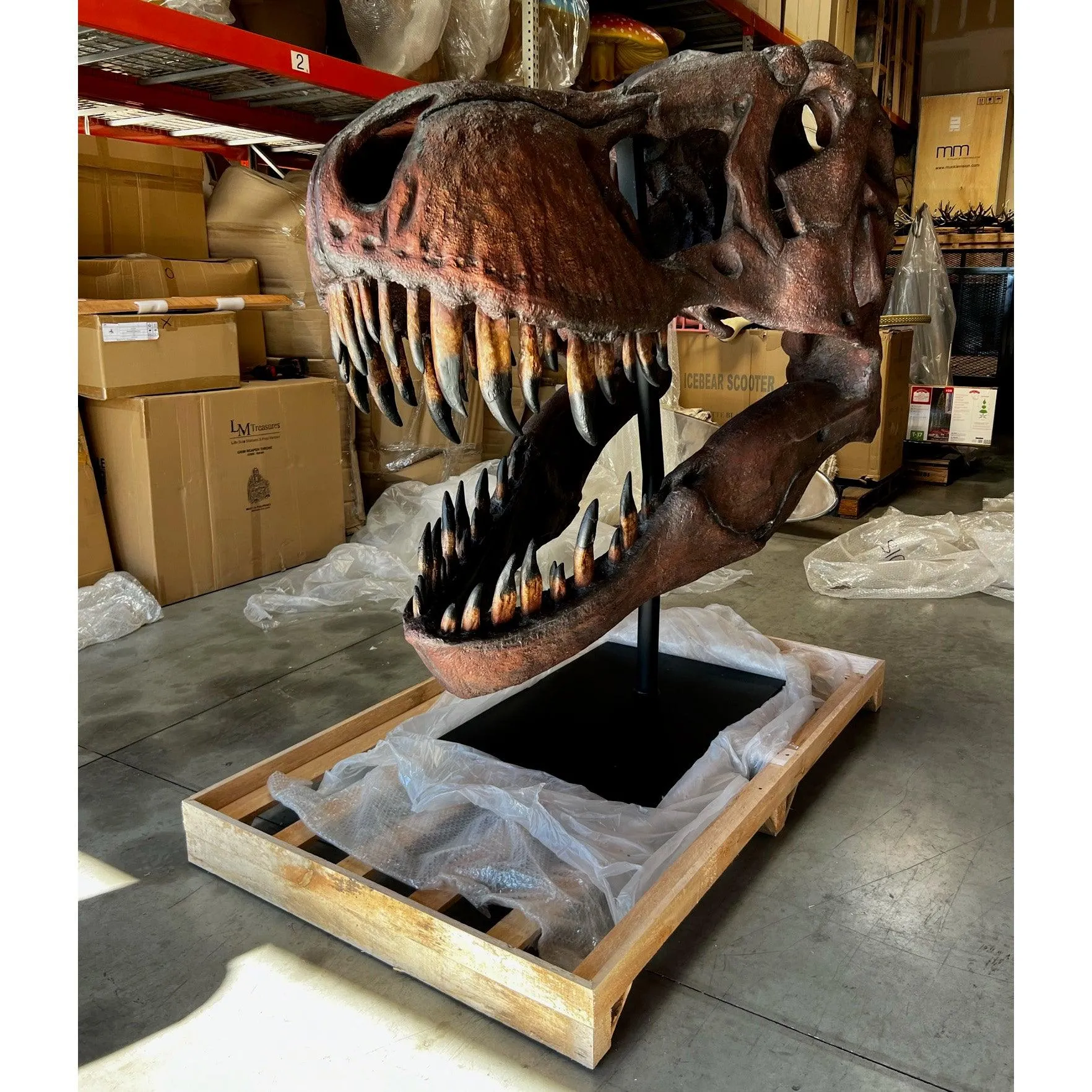 Jumbo T-Rex Skull On Base Life Size Statue