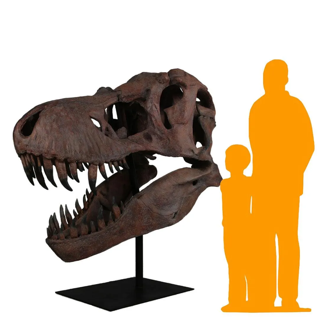 Jumbo T-Rex Skull On Base Life Size Statue