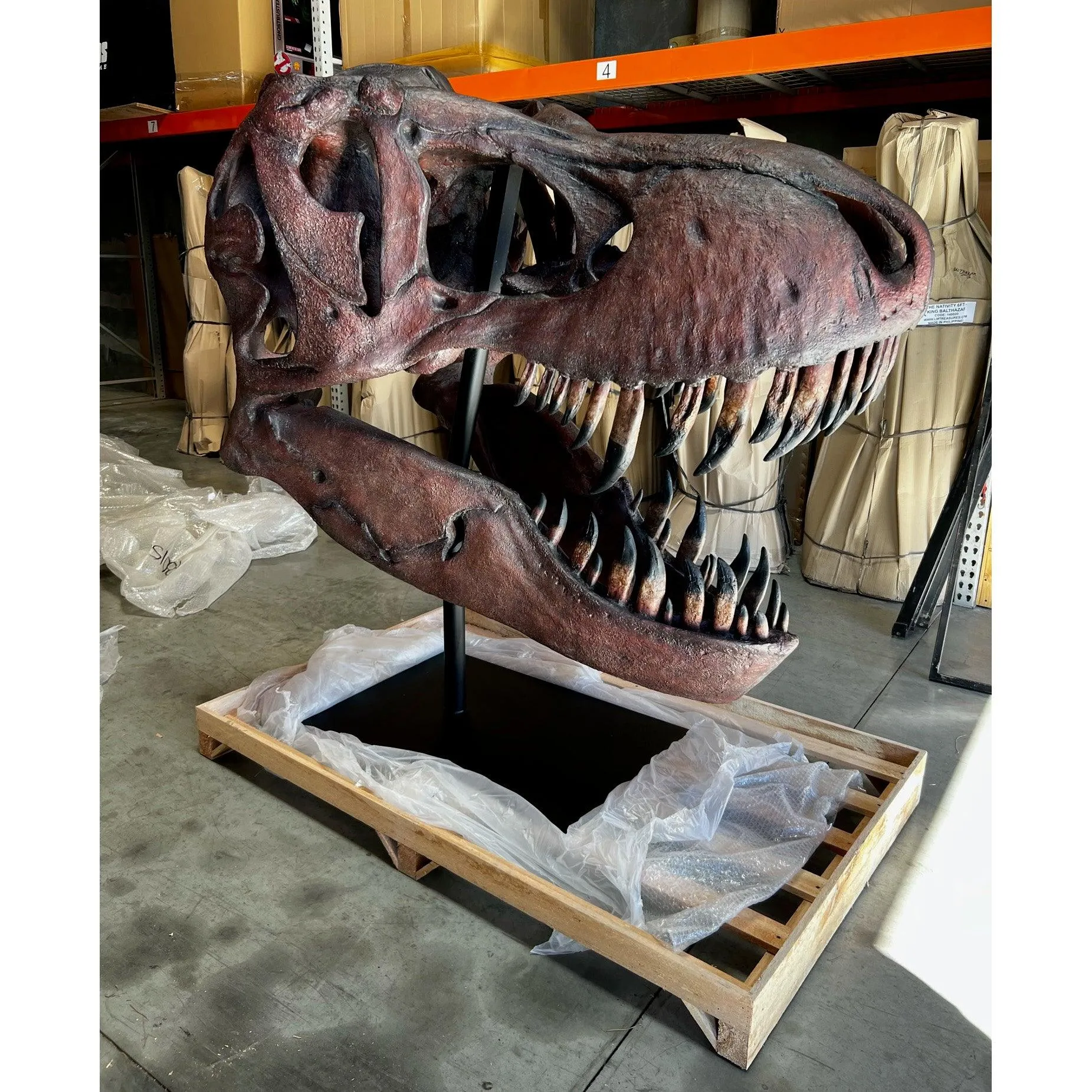 Jumbo T-Rex Skull On Base Life Size Statue