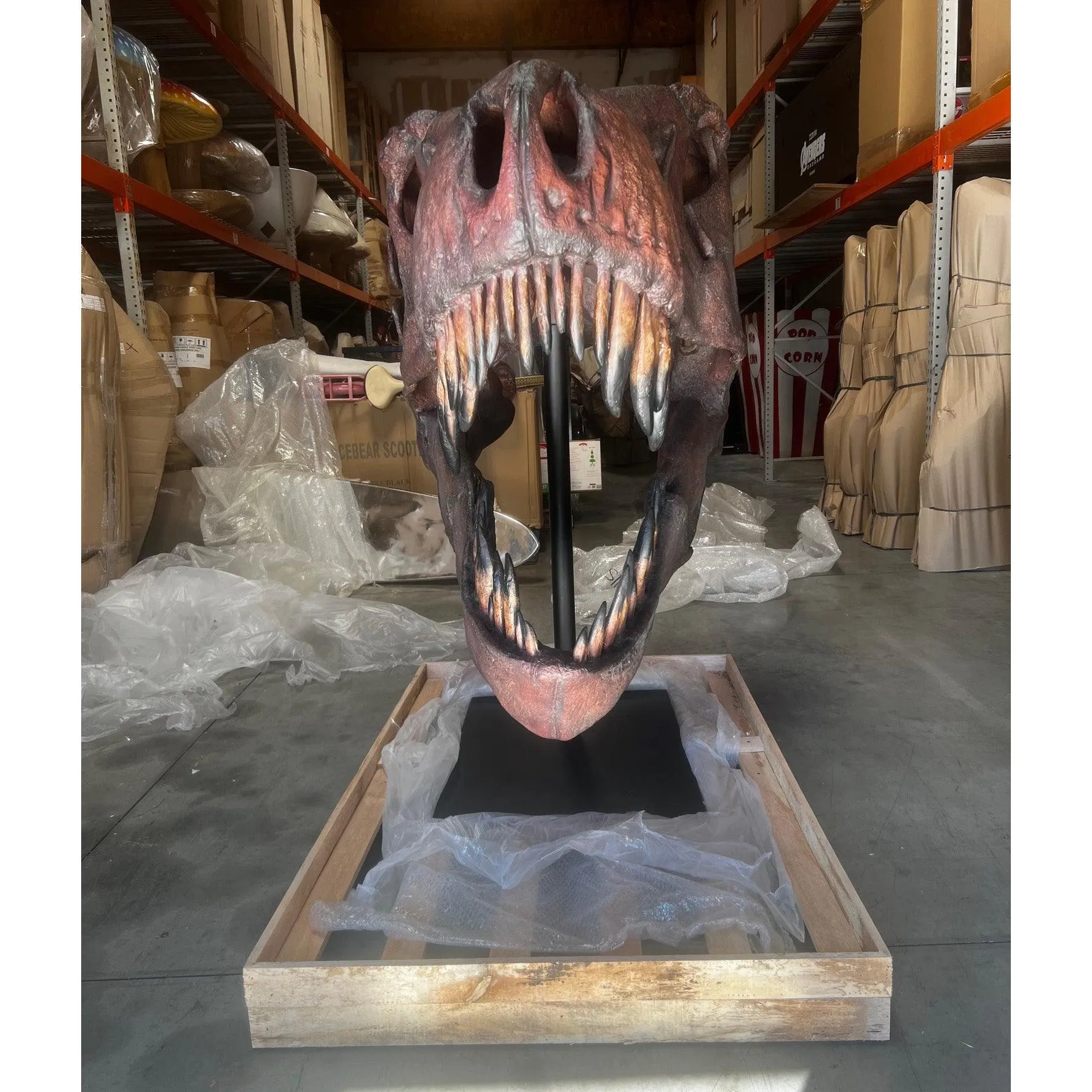 Jumbo T-Rex Skull On Base Life Size Statue