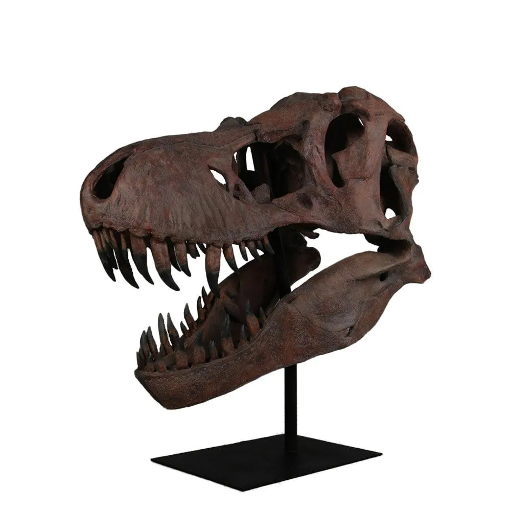 Jumbo T-Rex Skull On Base Life Size Statue