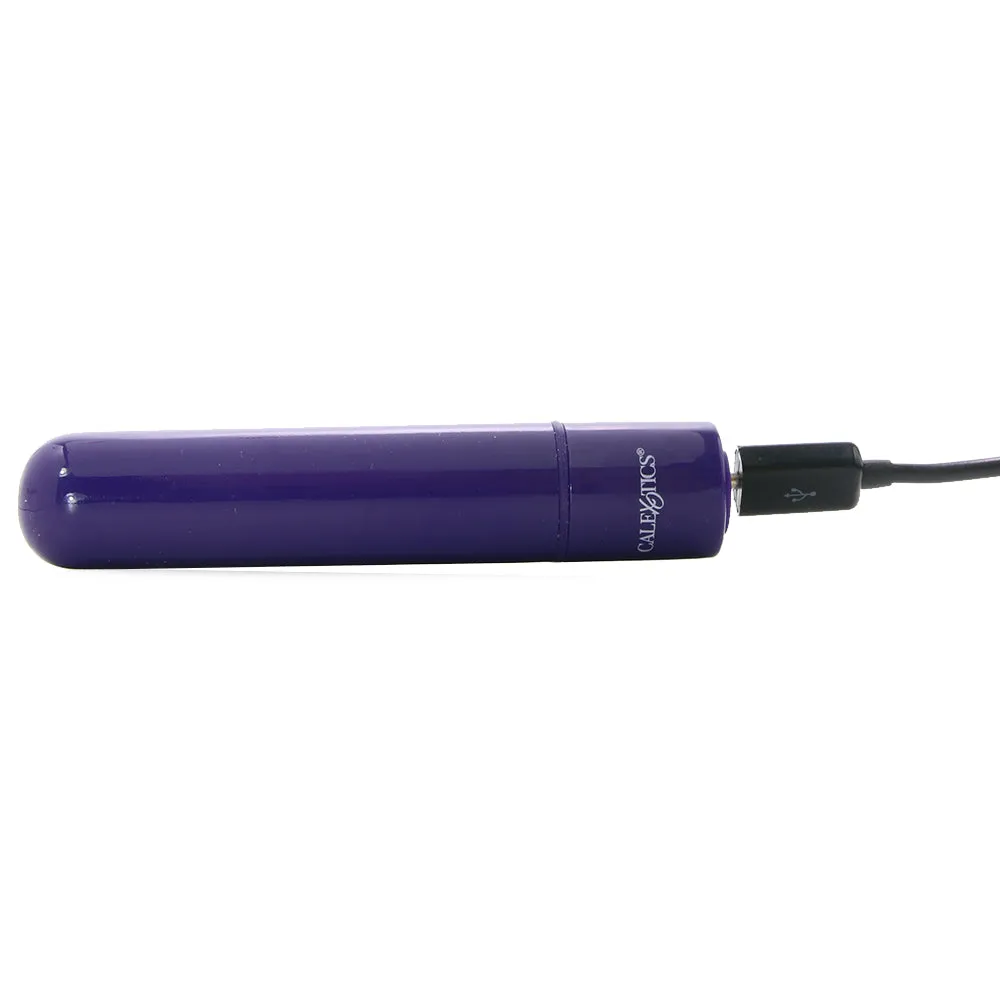 Tiny Teasers Bullet Vibe in Purple